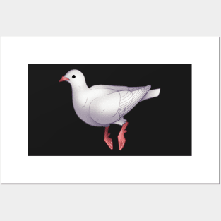 Cozy Dove Posters and Art